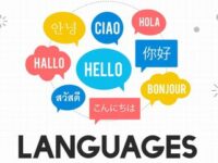 Saat Ini Ada 6 Bahasa Internasional, Apakah Bahasa Indonesia Termasuk ?
